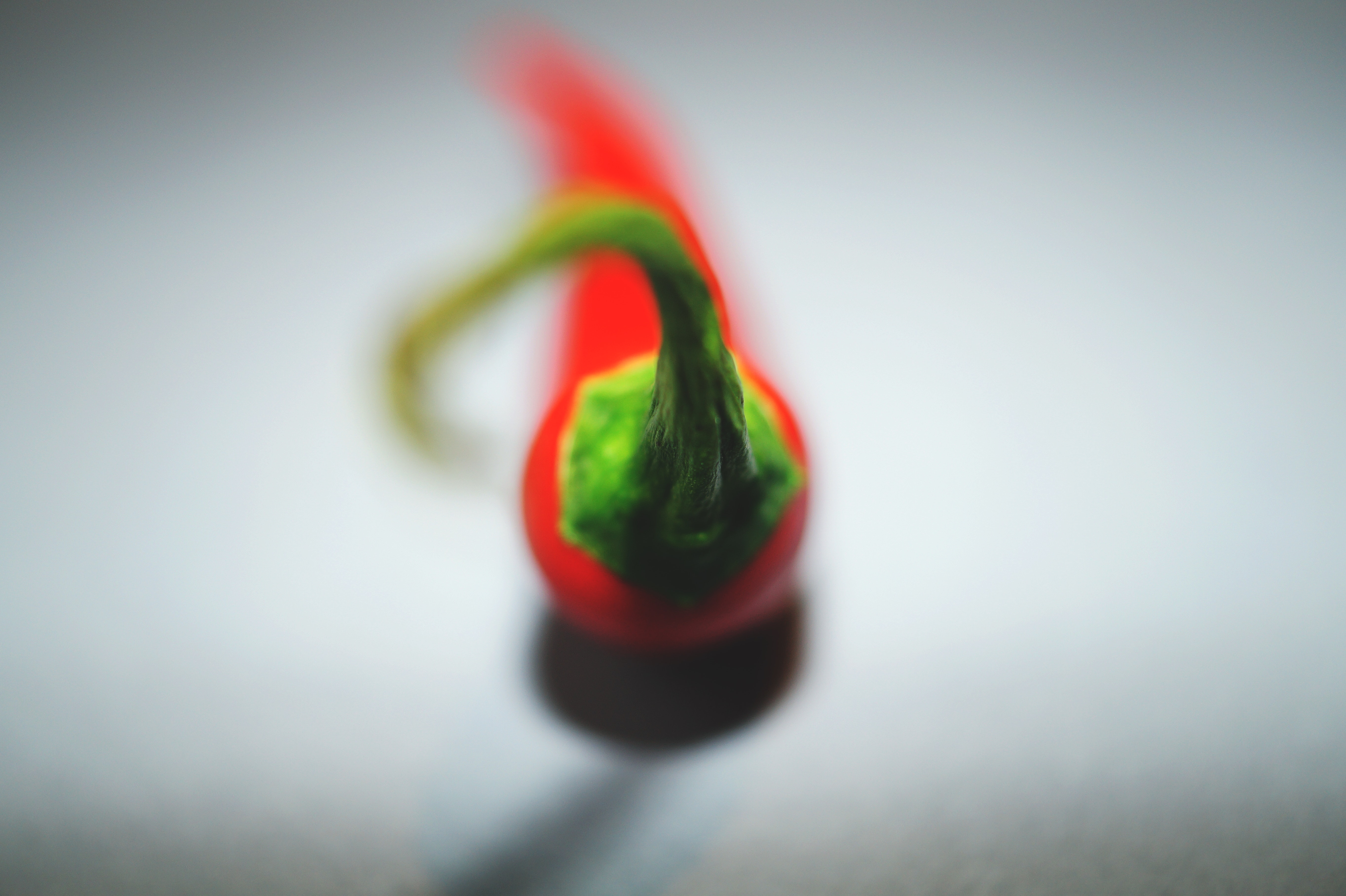 blur-chili-chilli-peppers-130672.jpg